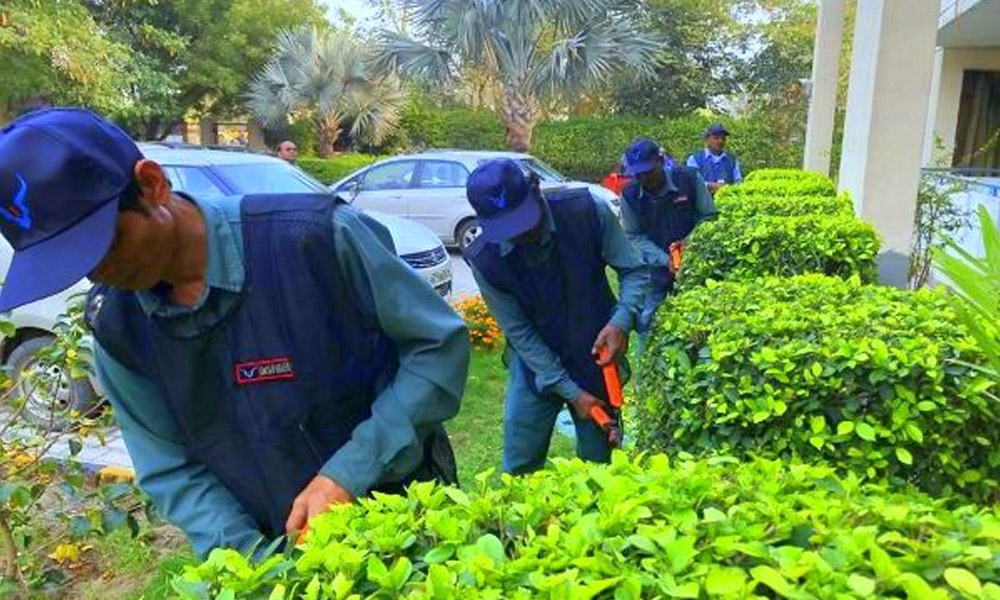 Horticulture Services